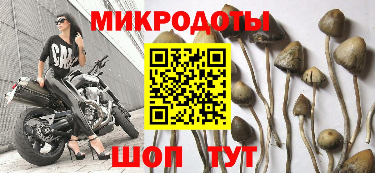Майский  Псилоцибиновые грибы GOLDEN TEACHER  Вход с VPN 